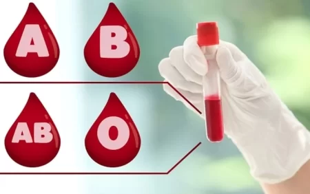 Ən çalışqan qan qrupu: Onlar hər şeyi düzgün edirlər