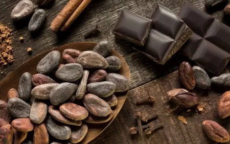 Bu şokolad şəkər xəstəliyinin dərmanıdır