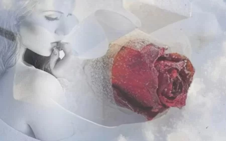 Ən soyuq ruha və buzlu ürəyə sahib yeganə BÜRC