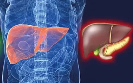 Həkimlər bu içkilərlə bağlı mifi DAĞITDI: Qaraciyərə ikiqat ZƏRBƏ VURUR