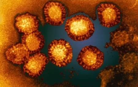 Dünya TƏHLÜKƏDƏ - Yüzlərlə qorxulu virus...