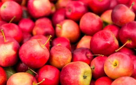 Almanı belə yemək sağlamlığa TƏHLÜKƏLİDİR