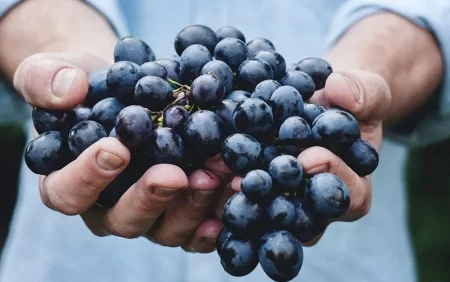 Alimlər infarkt və insult riskini artıran beş qidanın adını açıqlayıblar