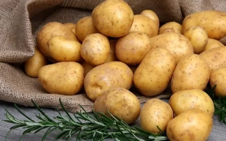 ÇİY kartof suyu mədeyə xeyirdimi?