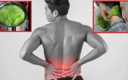 Kələm yarpaqları ilə bel ağrılarından qurtulun