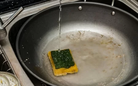 Çirkli qab süngərində gizli təhlükə