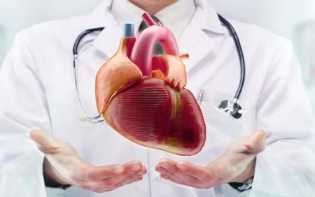 Alimlər ürək xəstəliklərinin dərmanı olan məhsulun adını açıqlayıblar