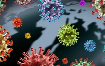 Qorxmayaq, amma qorunaq - Bu xəstəliyi törədən viruslar...