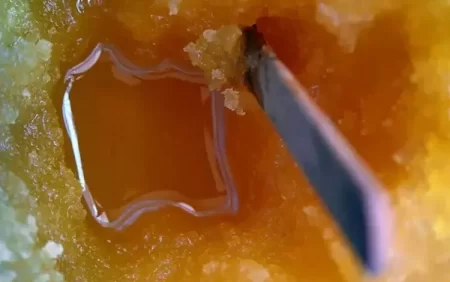 Ürək üçün ən güclü dərman: Gündə 2 qaşıq...