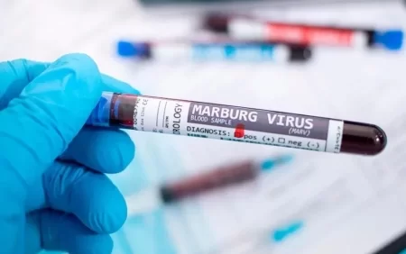 Təhlükəli virus yayılır - Ölənlər var