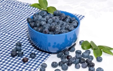 Niderlandda qaragilə insanları hepatitə yoluxdurdu