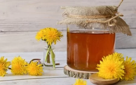 Zəncirotu – Hansı xəstəliklərdə içilə bilər?