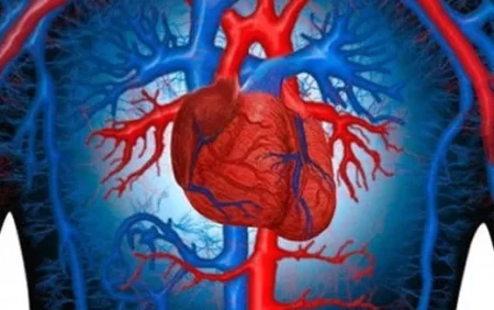 Bu tərəvəzin şirəsi ürək və damar xəstəlikləri riskini KƏSKİN AZALDIR