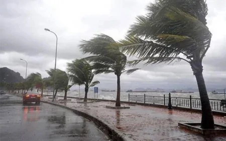 Hava ilə bağlı növbəti sarı XƏBƏRDARLIQ