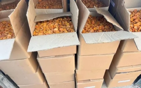 ŞOK: İrandan Azərbaycana görün necə qidalar idxal olunurmuş - FOTOLAR