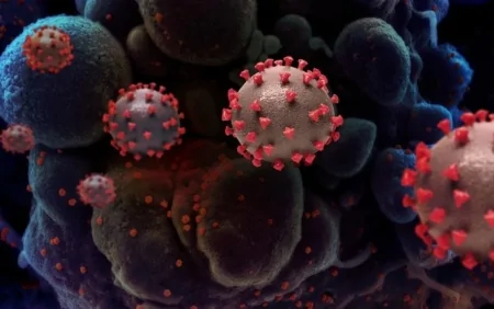 Pandemiya bitməyib: ÜST-dən COVID-19 ilə bağlı yeni təhlükəli virus XƏBƏRDARLIĞI