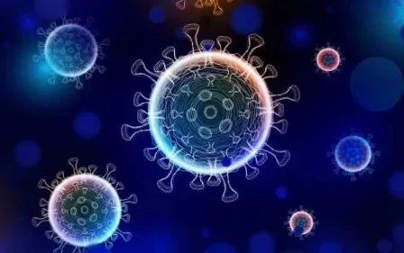 Yeni virus GƏLİR...