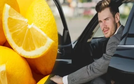 Təcrübəli sürücülər niyə uzun səfərdən əvvəl limon yeyir? - Enerji verir, yuxunu qaçırdır