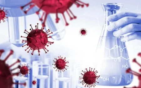 Dünyanı yeni virus gözləyir – XƏBƏRDARLIQ