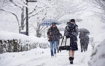 FHN-dən daha bir Müraciət