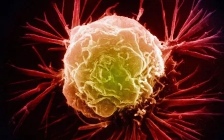 Bizi hər gün öldürən maddələr: xərçəng yaradır