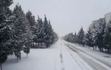 Fevralın 24-ü axşamdan 25-i səhərədək... - RƏSMİ XƏBƏRDARLIQ