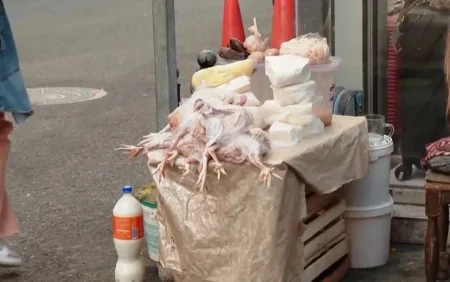 Açıq havada satılan qidalar ölüm saçır - Ekspertdən XƏBƏRDARLIQ