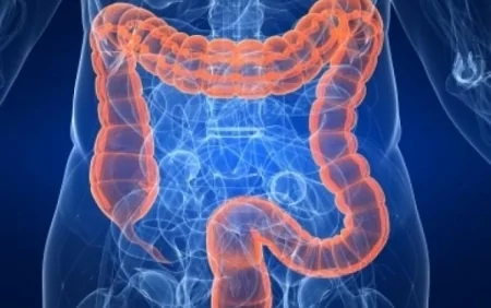 Tutulmuş bağırsaqları açan 6 möcüzəvi qida