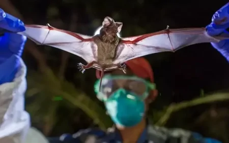 Yeni təhlükəli epidemiya yarandı - Koronadan daha sürətli yayılır: Ölənlər var