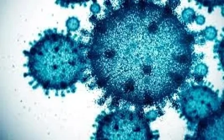 Covidə bənzər yeni virus KƏŞF EDİLDİ