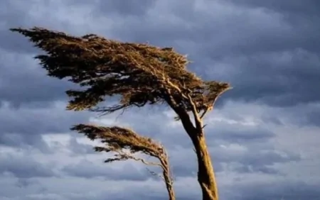 Güclü külək əsəcək - Sarı və narıncı xəbərdarlıq