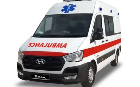 İranda sümük toxumasını sağaldan pasta yaradılıb