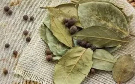 Qarışqalar evinizdən əbədi yox olacaq: dəfnə yarpaqlarını bu yerlərə qoyun