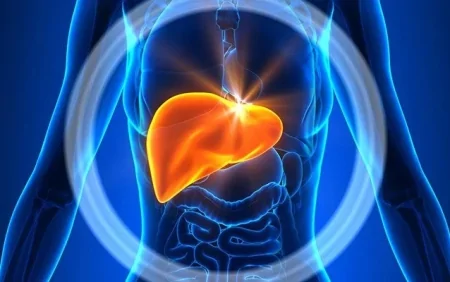 Qaraciyərinizi qoruyun - Sağlam həyat üçün VACİB TÖVSİYƏLƏR