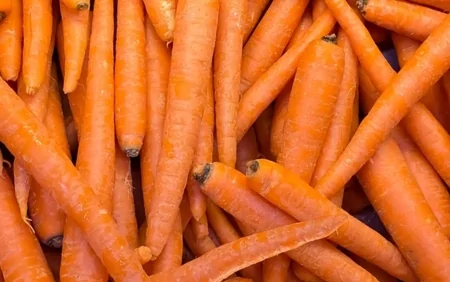 Xərçəng əleyhinə qida: YERKÖKÜ