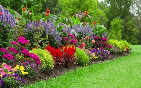 Hamının bağında var amma faydaları bilinmir - Dərib, yeyin...