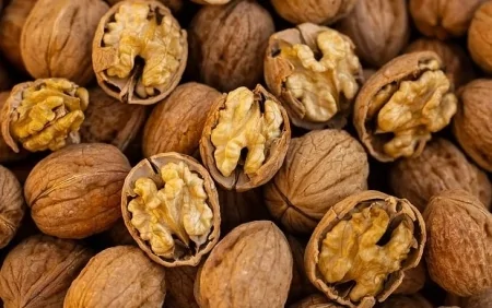 Qoz hansı xəstəliyin riskini azaldır? – Həkim açıqladı