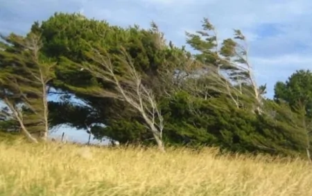 Əhaliyə xəbərdarlıq: Çölə çıxmayın!