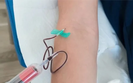 Çindən gətirilən qanalma kəpənəklərinin satışı qadağan edildi