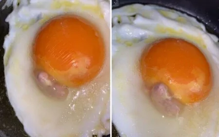 Bu xəbərdən sonra yumurtanın ağını yeməyəcəksiz