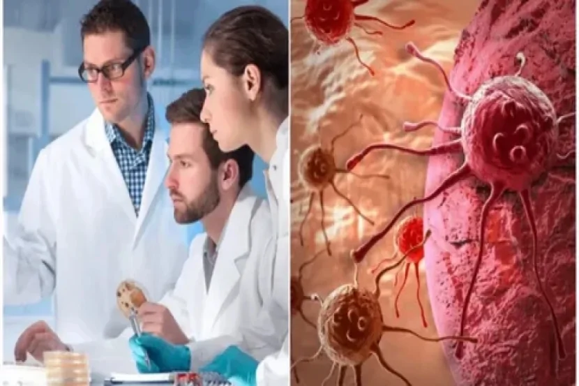Alimlər xərçəngin müalicəsində yeni yanaşmanı araşdırıblar