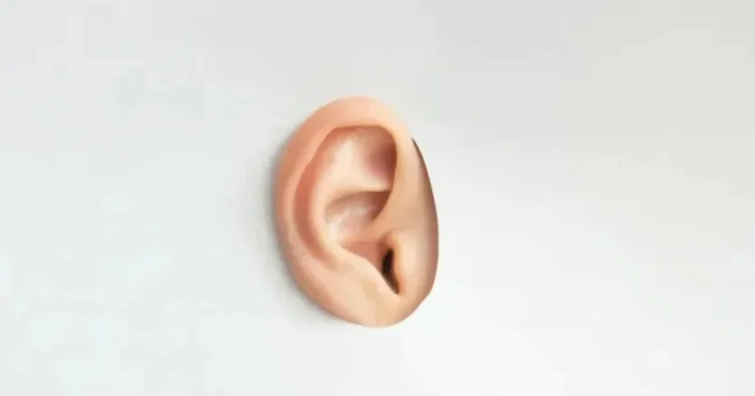 Yeni elastik implant hazırlanıb