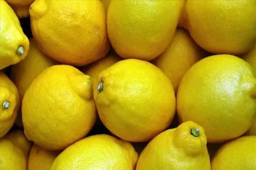 Limonu əsla belə saxlamayın - Sümüklərinizi yağ kimi əridir
