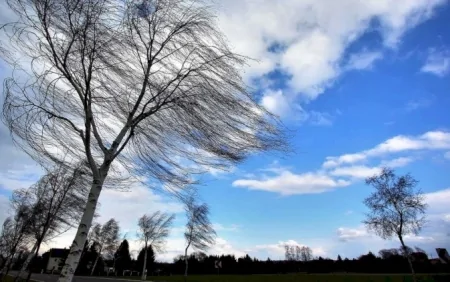 Güclü külək nə vaxt kəsəcək?