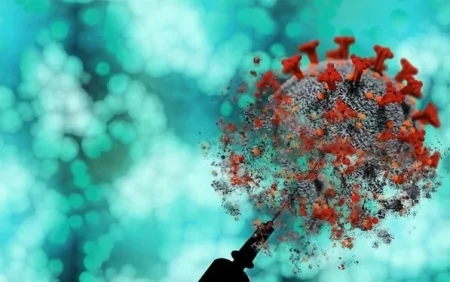 Meymunçiçəyinə yoluxma halları aşkar EDİLDİ