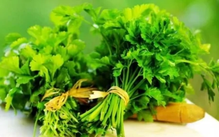 Cəfəri bu xəstəliklərin dərmanıdır