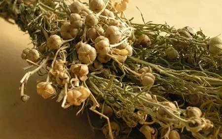 Ədliyyə Nazirliyindən üzərliklə bağlı vətəndaşlara XƏBƏRDARLIQ