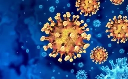 Yeni virus yayılır: Bu ölkədə karantin rejimi tətbiq olunacaq