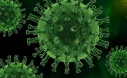 Tarixin ən ölümcül xəstəliyi GERİ GƏLDİ