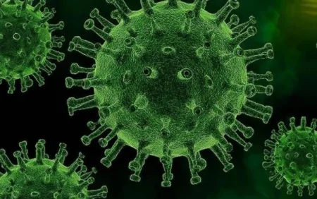 Tarixin ən ölümcül xəstəliyi GERİ GƏLDİ